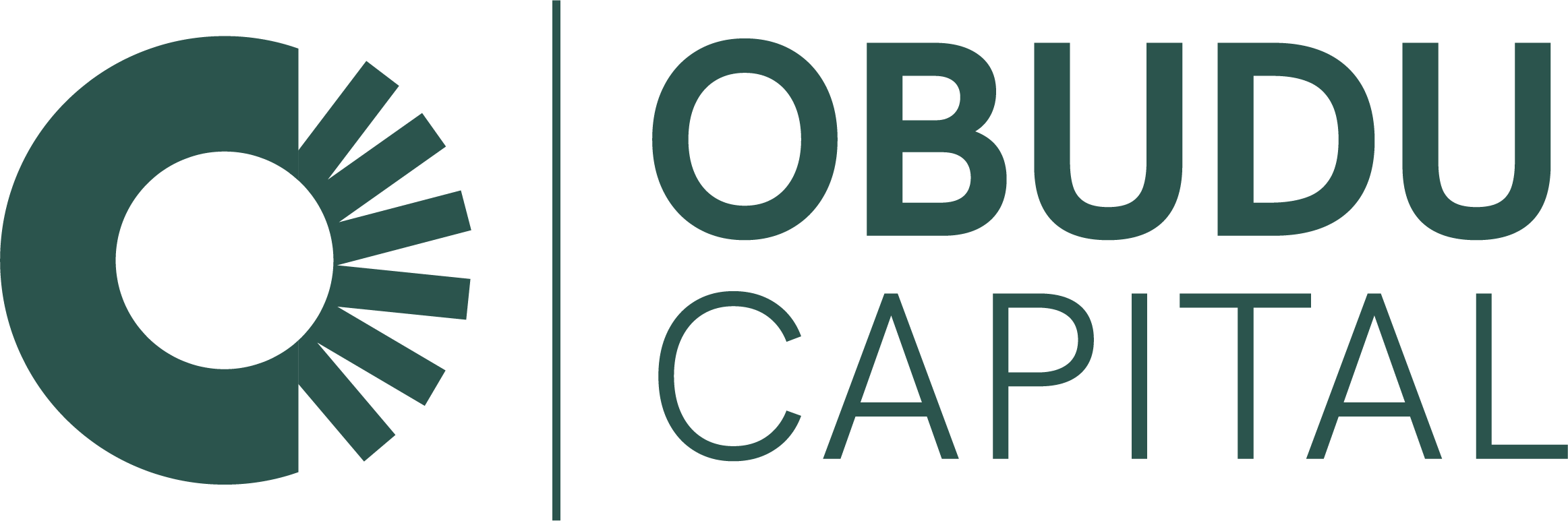 Obudu Capital